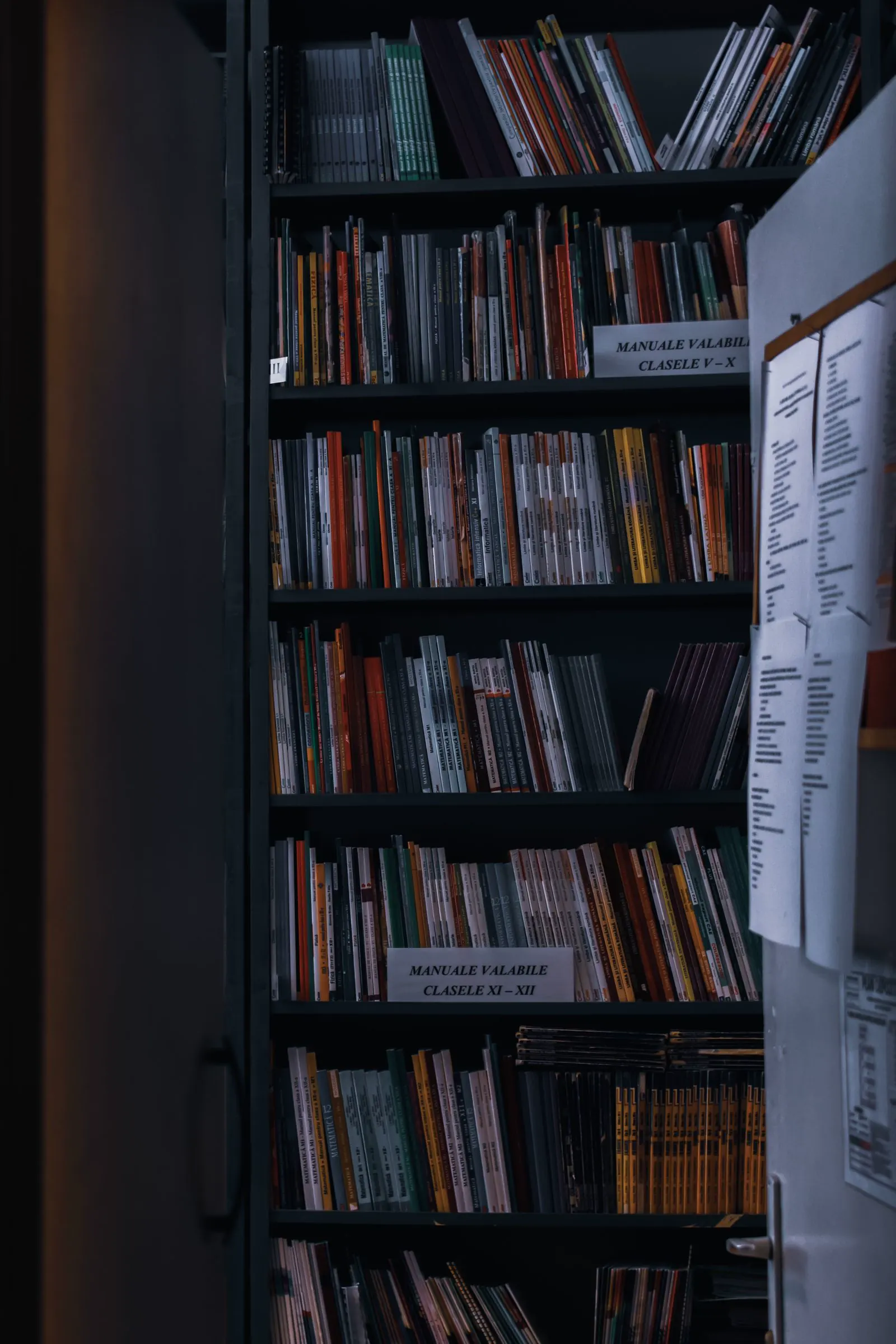 Organized shelves of reference material in a library